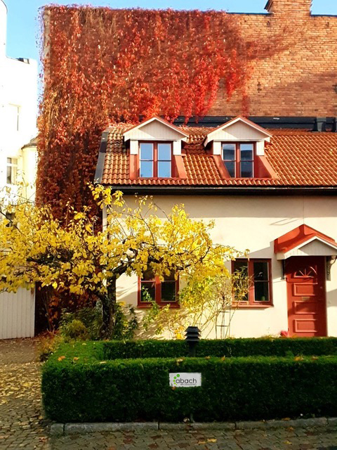 kontoret